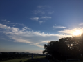 お試し～♪