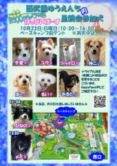 ☆里親会のご案内☆ 画像1