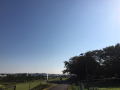 今年最後の真夏日…♪
