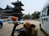 64km水間寺 画像1