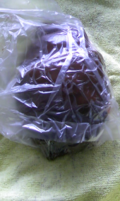 顔を打ちました（痛） 画像1