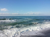ポカポカ陽気 画像2