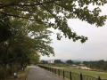 年に一度の～♪