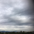 そろそろ・・・♪