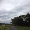 そろそろ・・・♪