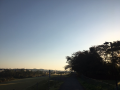 全日本大学駅伝♪