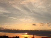 日ごとに・・・・♪ 画像1