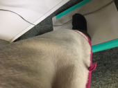 足温器と膝掛け 画像1