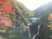 紅葉ドライブ 画像1
