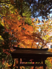紅葉狩り 画像1