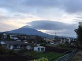見えないだろうね 画像1