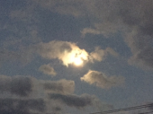 月明かり 画像2