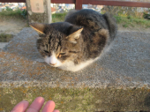 no title 画像1