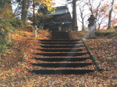 晴れ 散歩 画像1
