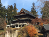 晴れ 散歩 画像2