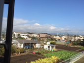 楽しんでます 画像3