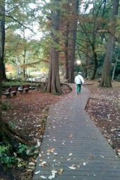 ウォーキングイベント残り１週間 画像2