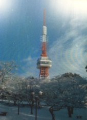 『雪の東京タワー？？？』 画像3