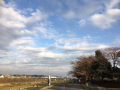 葛藤の末に　♪