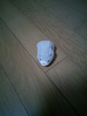 ガチャポン 画像1