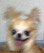 変わりやすいお天気 画像3