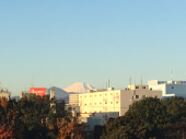 ２℃の朝♪ 画像1