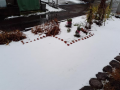 初雪ですね