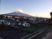 腰にきた 画像1