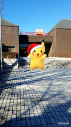 晴れの元旦✧良い年に !! 画像2