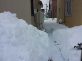 ラッセル車おやじ 画像1