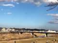 お正月　終了～～～♪