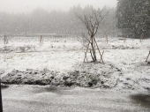 雪 おせち 画像2