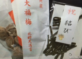 『　大福茶！？』 画像3