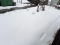 朝から出動