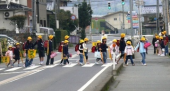 平日なのに休日です。 画像1