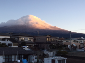 写真アップできた 画像1