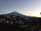 写真アップできた 画像3