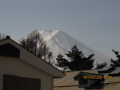 今日は春の陽気