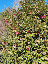 バイトにペナルティ!? 画像2