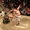 日本大相撲トーナメント♪
