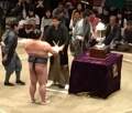 日本大相撲トーナメント♪