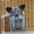 ☆ちょっとかわいいでしょ☆