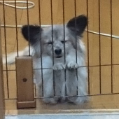 ☆ちょっとかわいいでしょ☆ 画像1