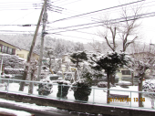 雪～ 画像2