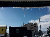 no title 画像1