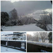 雪だ！ 画像1