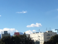 風と遊ぶ…♪