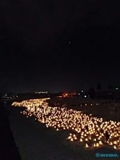 北へ、北へ、、、 画像3
