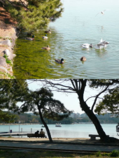 大濠公園散策／体育館で測定 画像3