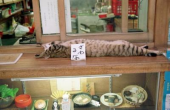 少々お疲れ；´д｀）ふぅ… 画像1
